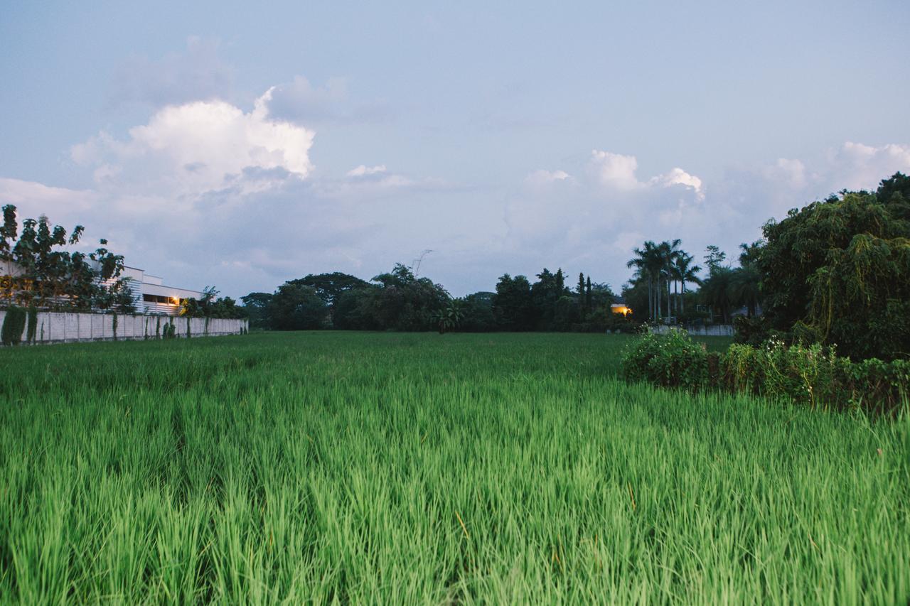 ฺbaan Tonglong Homestay Hangdong Kültér fotó